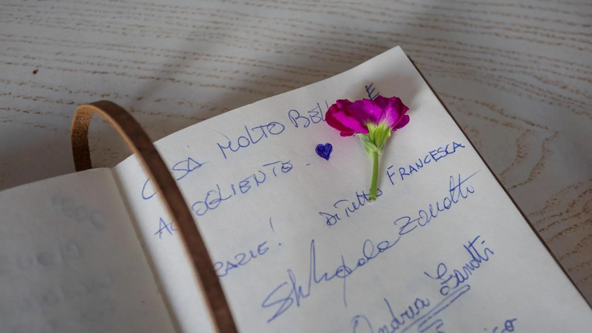Bloom And Wood - A Zen Retreat At Villa Emily Padova