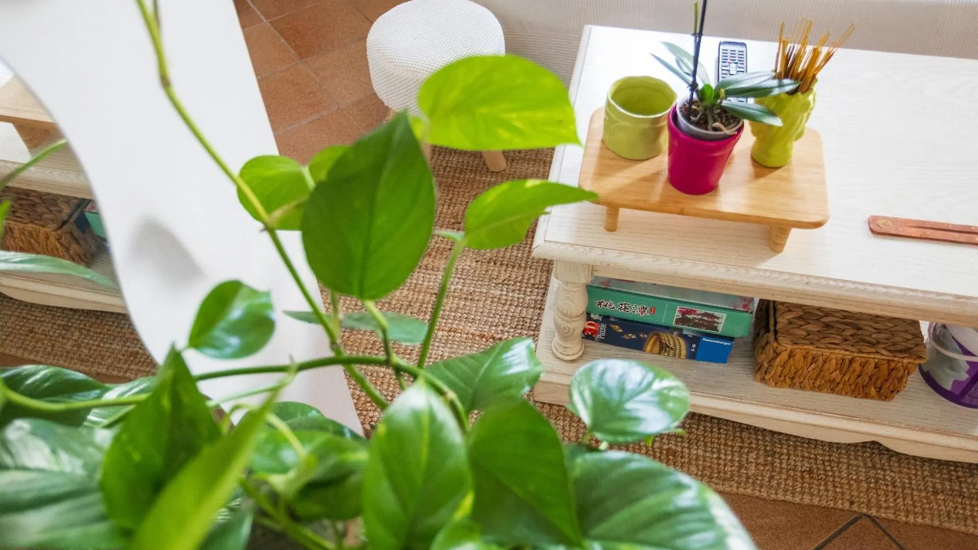 Bloom And Wood - A Zen Retreat At Villa Emily Padova Holiday home
